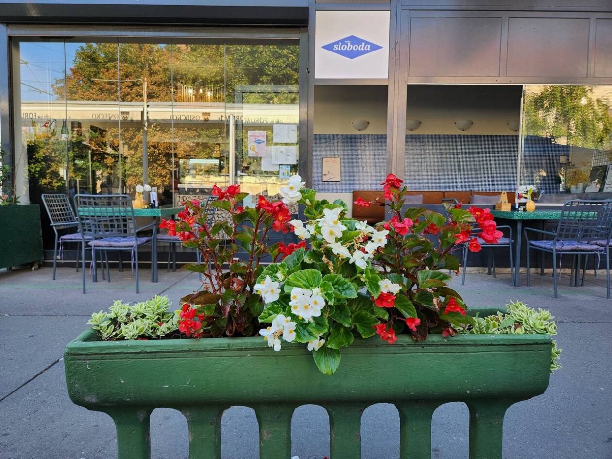 Osječka tržnica 9.8.2025. Osječka tržnica 9.8.2025.