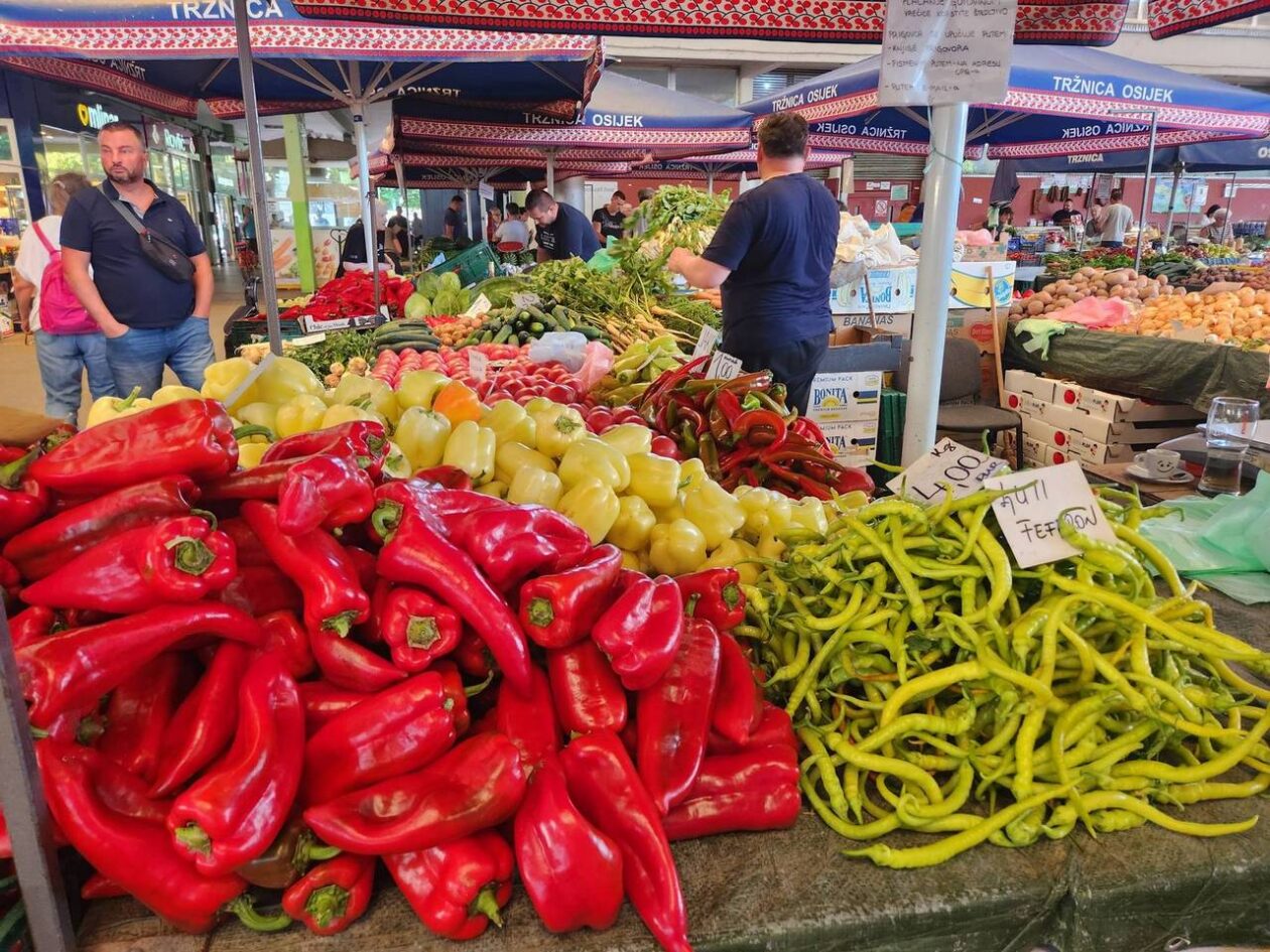 Osječka tržnica 9.8.2025. Osječka tržnica 9.8.2025.
