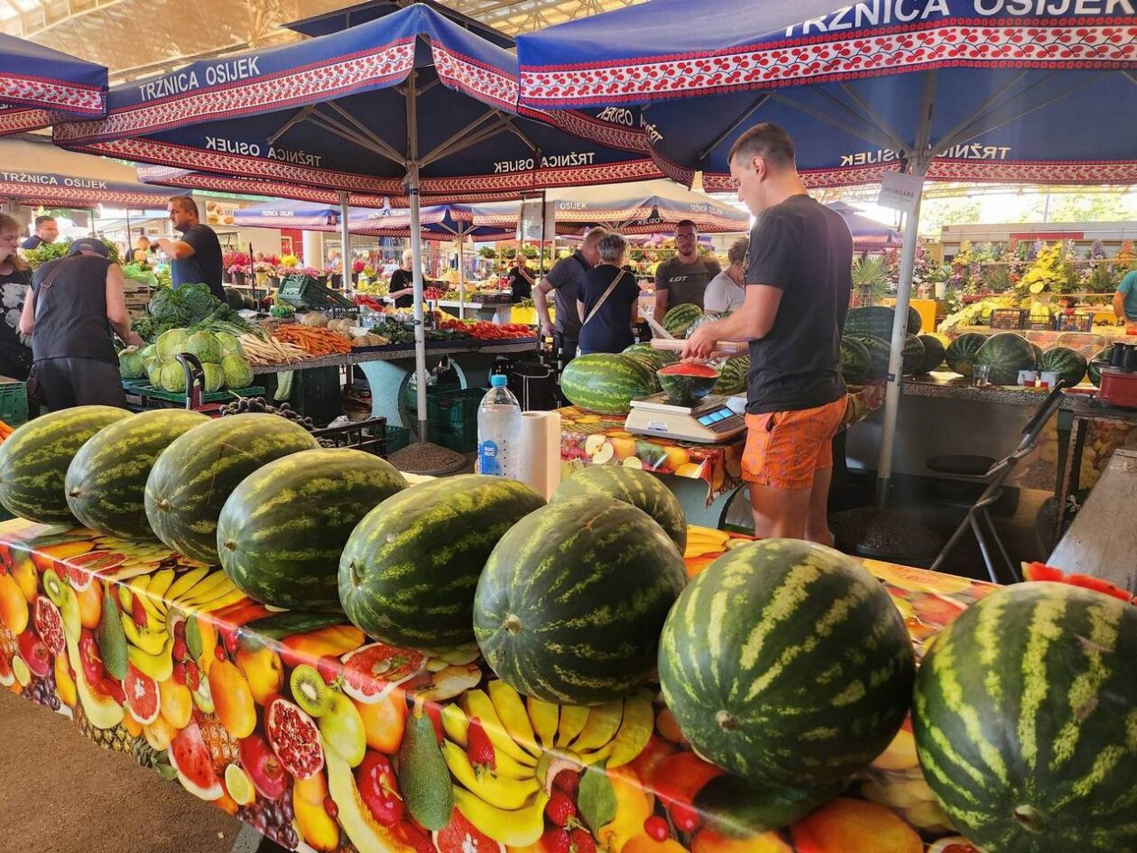 Osječka tržnica 9.8.2025. Osječka tržnica 9.8.2025.
