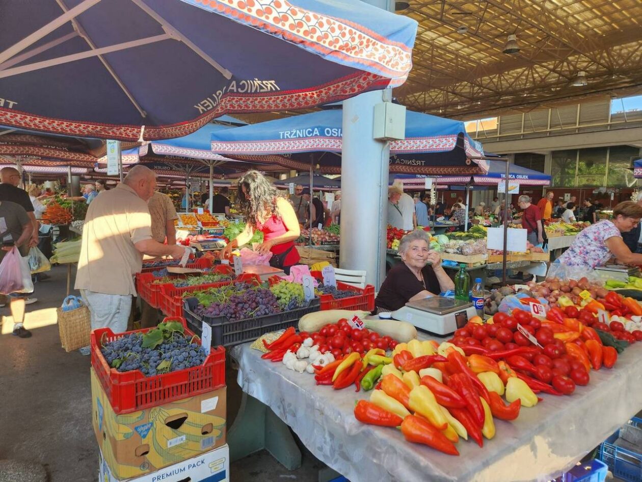 Osječka tržnica 9.8.2025. Osječka tržnica 9.8.2025.