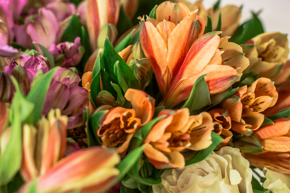 Florista
