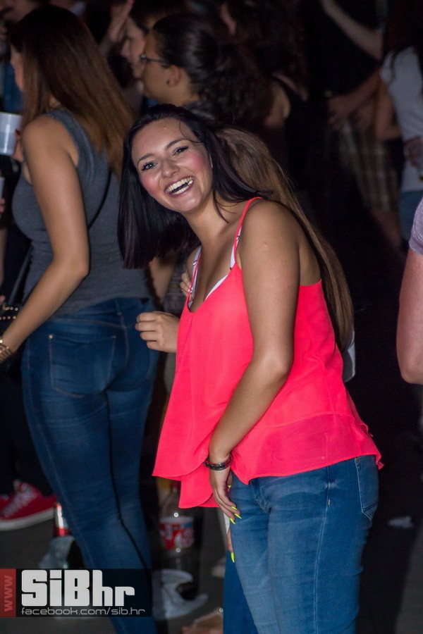 dc_party_by_zoran_57