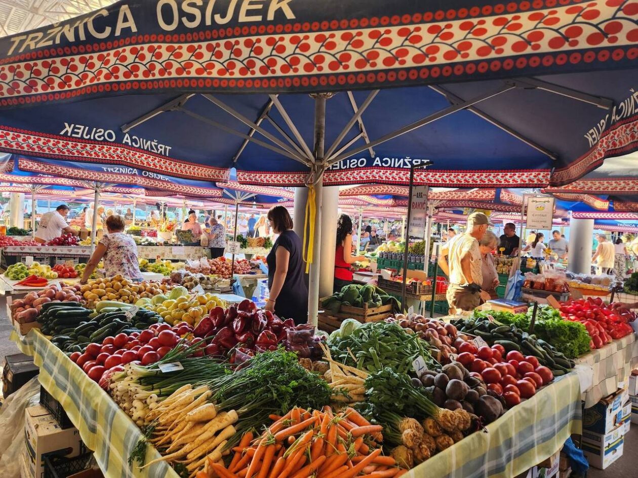 Osječka tržnica 9.8.2025. Osječka tržnica 9.8.2025.