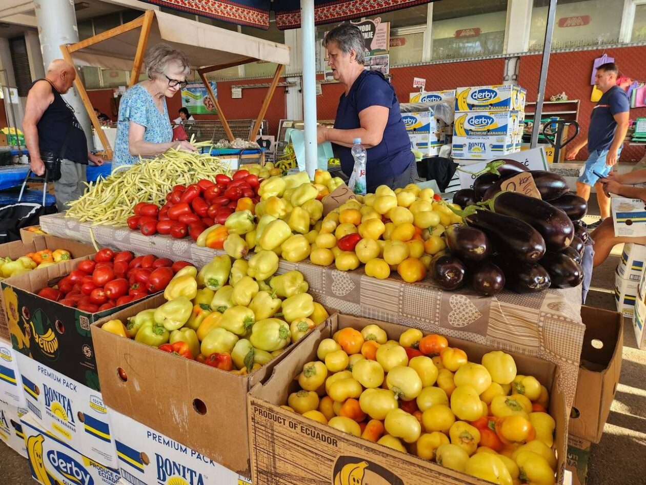 Osječka tržnica 9.8.2025. Osječka tržnica 9.8.2025.