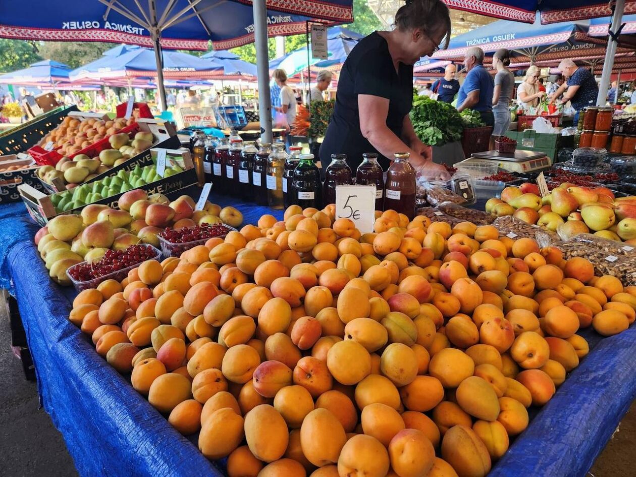 Osječka tržnica 9.8.2025. Osječka tržnica 9.8.2025.