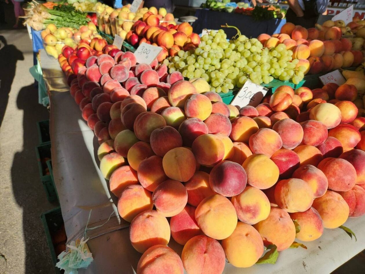 Osječka tržnica 9.8.2025. Osječka tržnica 9.8.2025.