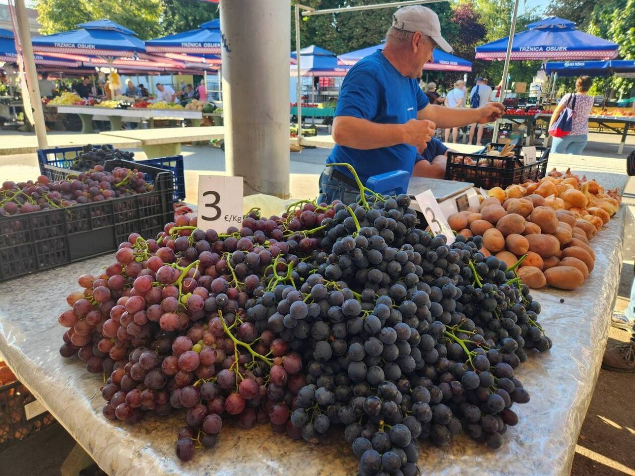 Osječka tržnica 9.8.2025. Osječka tržnica 9.8.2025.