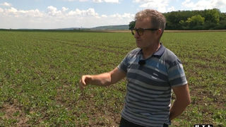 Image 6045189 (auto) Image 6045189 (auto)