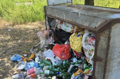 535557488_1109948704575828_4079235021723641097_n