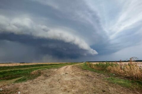 536188010_722994524036273_7024346998591502812_n (1) 536188010_722994524036273_7024346998591502812_n (1)