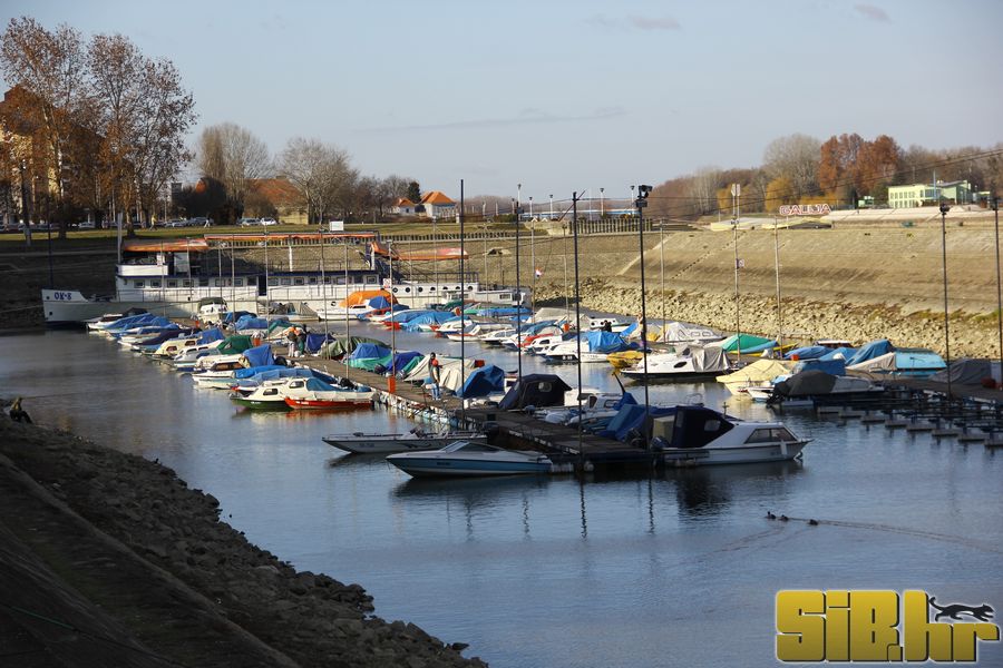 setnja_gradom_7_1_2012_sibhr_42
