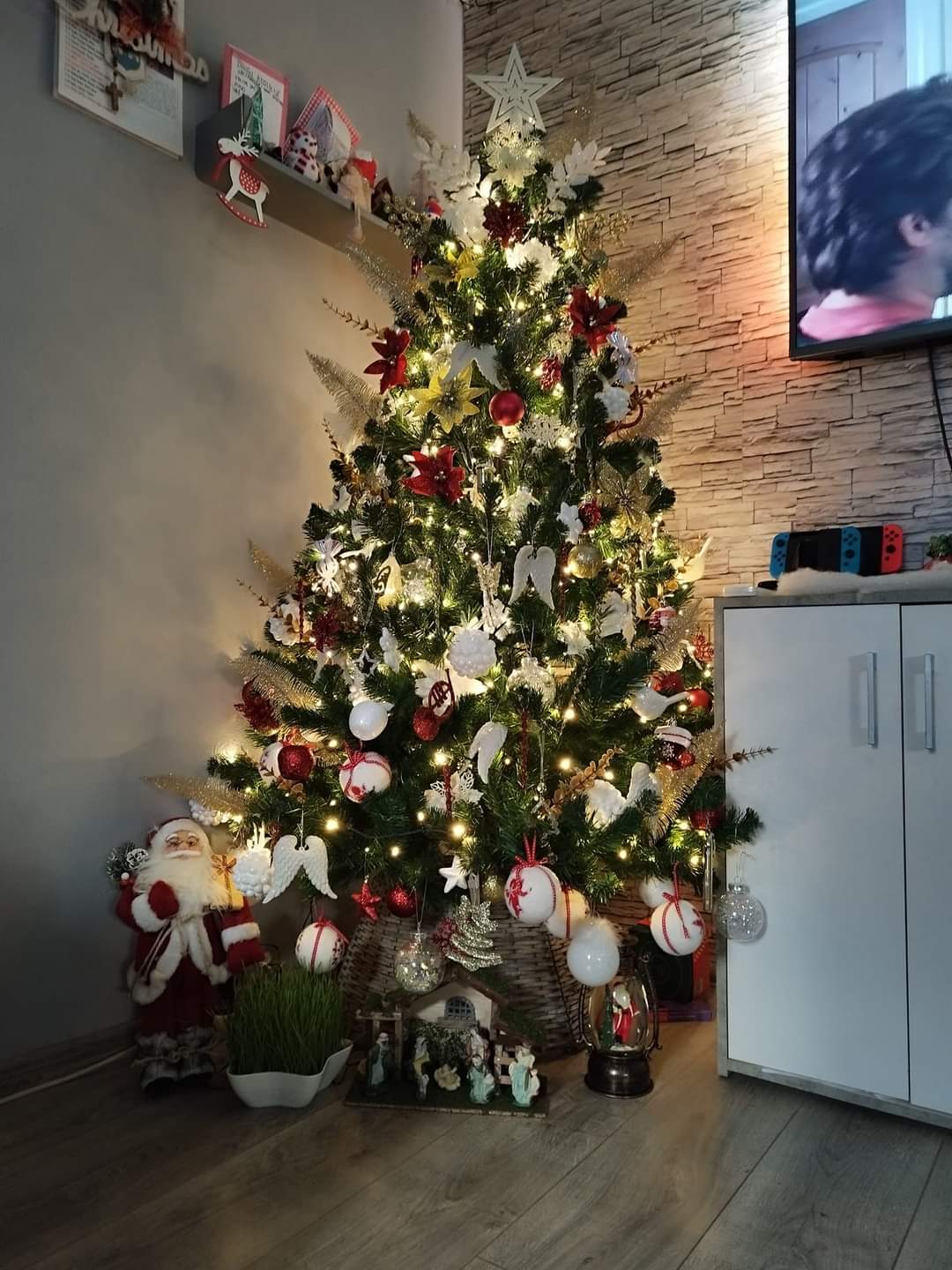 Najljepši borovi na Božić 2023. Najljepši borovi na Božić 2023.