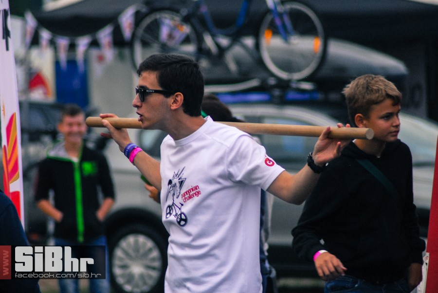 pannonian_petak2015_SiBhr112