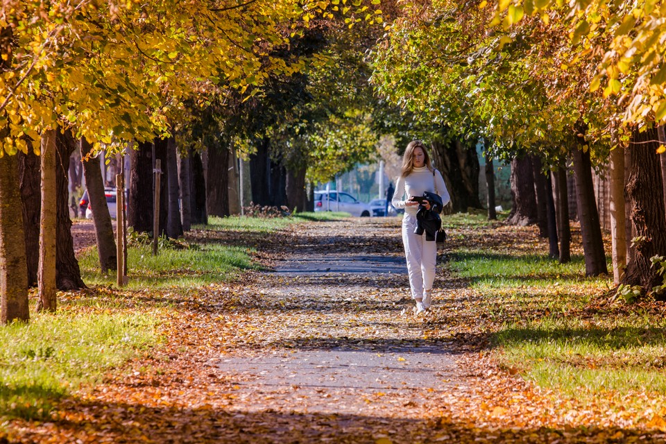 Jesenja šetnja osječkim parkovima