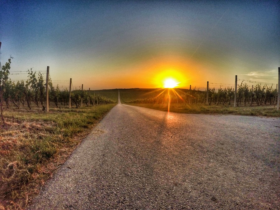 baranja_by_gordan_trtanj_SiBhr_