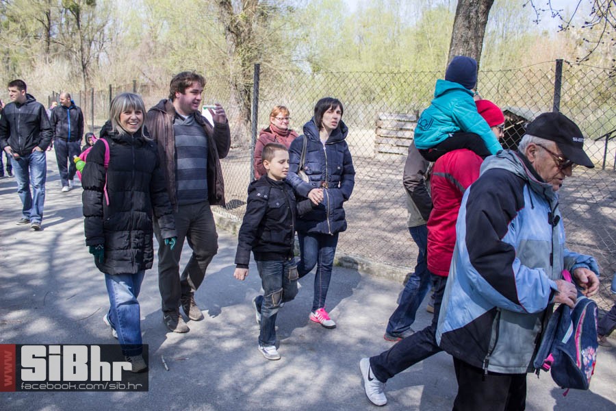 zoo_vrt_54