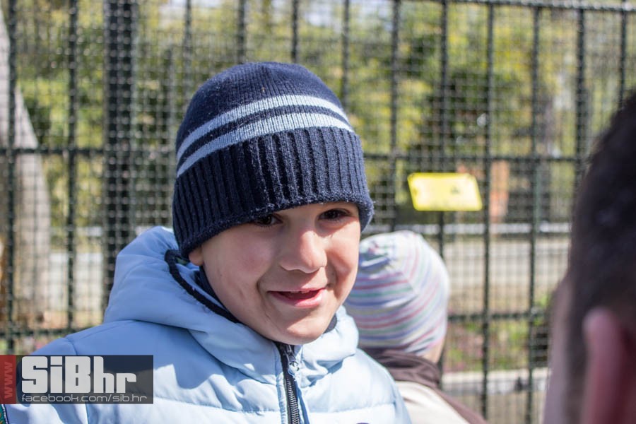 zoo_vrt_46
