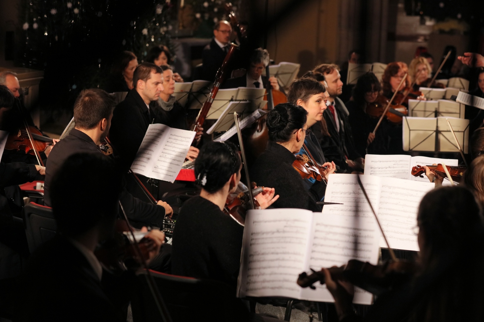 Panonska filharmonija U Osijeku