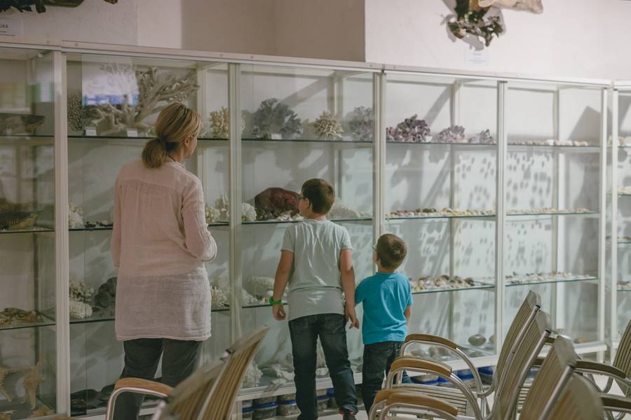 vecer_vina_i_umjetnosti_osijek_