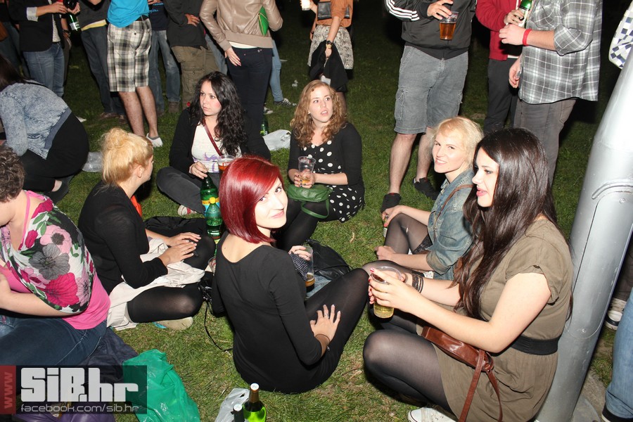 dc_party_sib