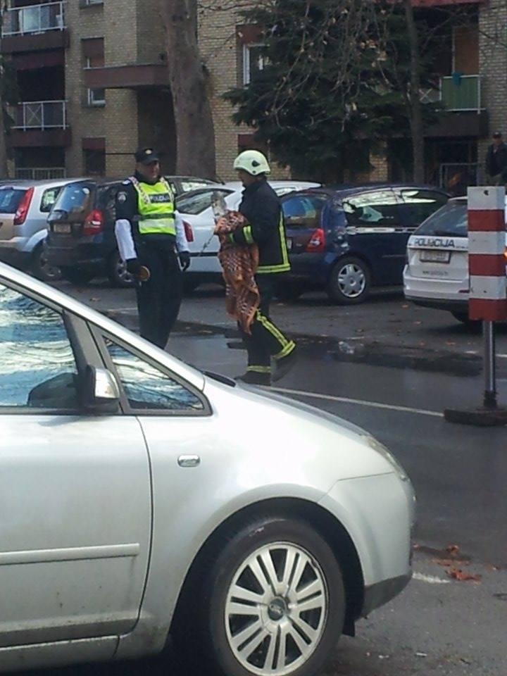 vatrogasci_sova_osijek_4