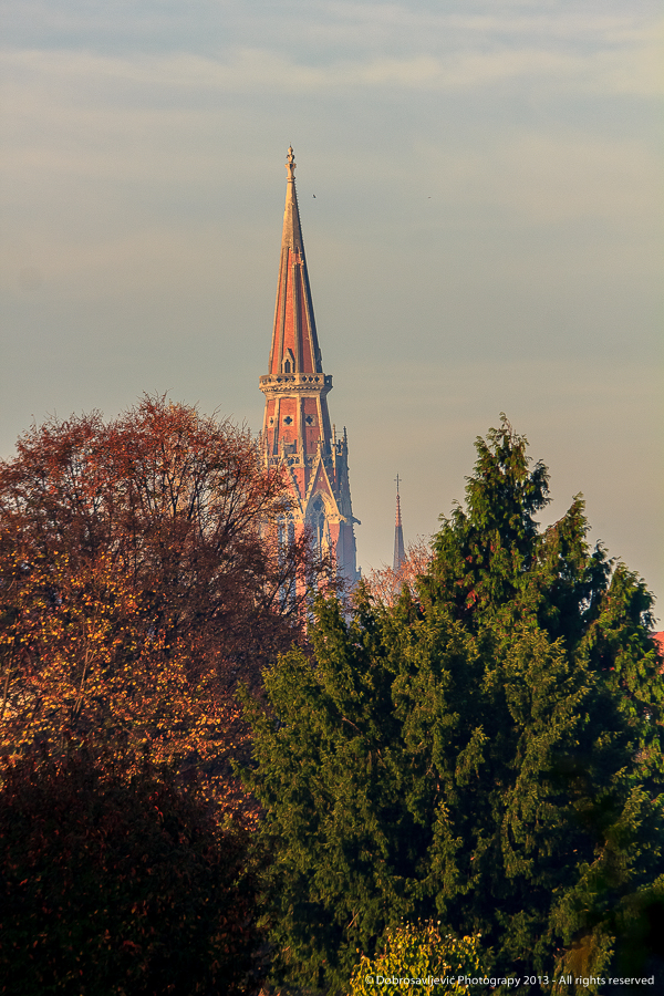 dobrosavljevic_osijek_SiBhr_38
