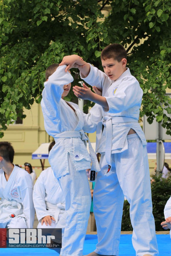 osijek_zdrav_grad_11