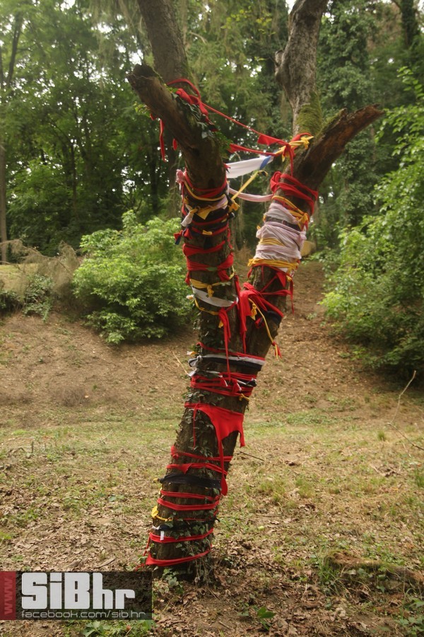 backyard_art_festival_SiBhr_69