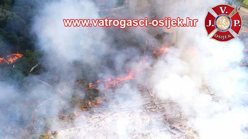 Kopači rit požar