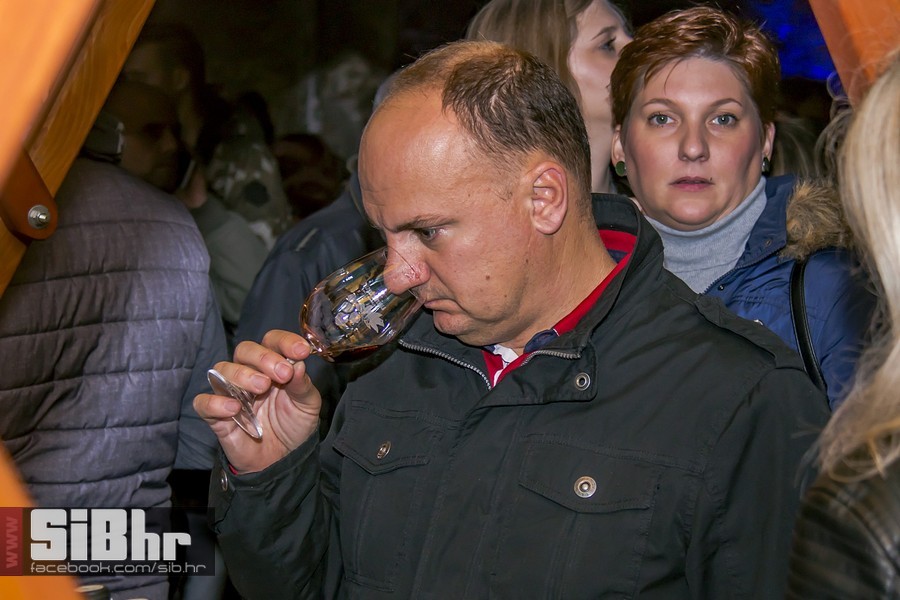 Vecer_vina_i_umjetnosti_SiB_hr-