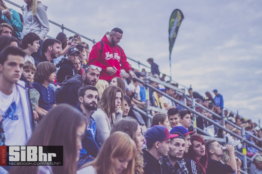 pannonian_petak2015_SiBhr34