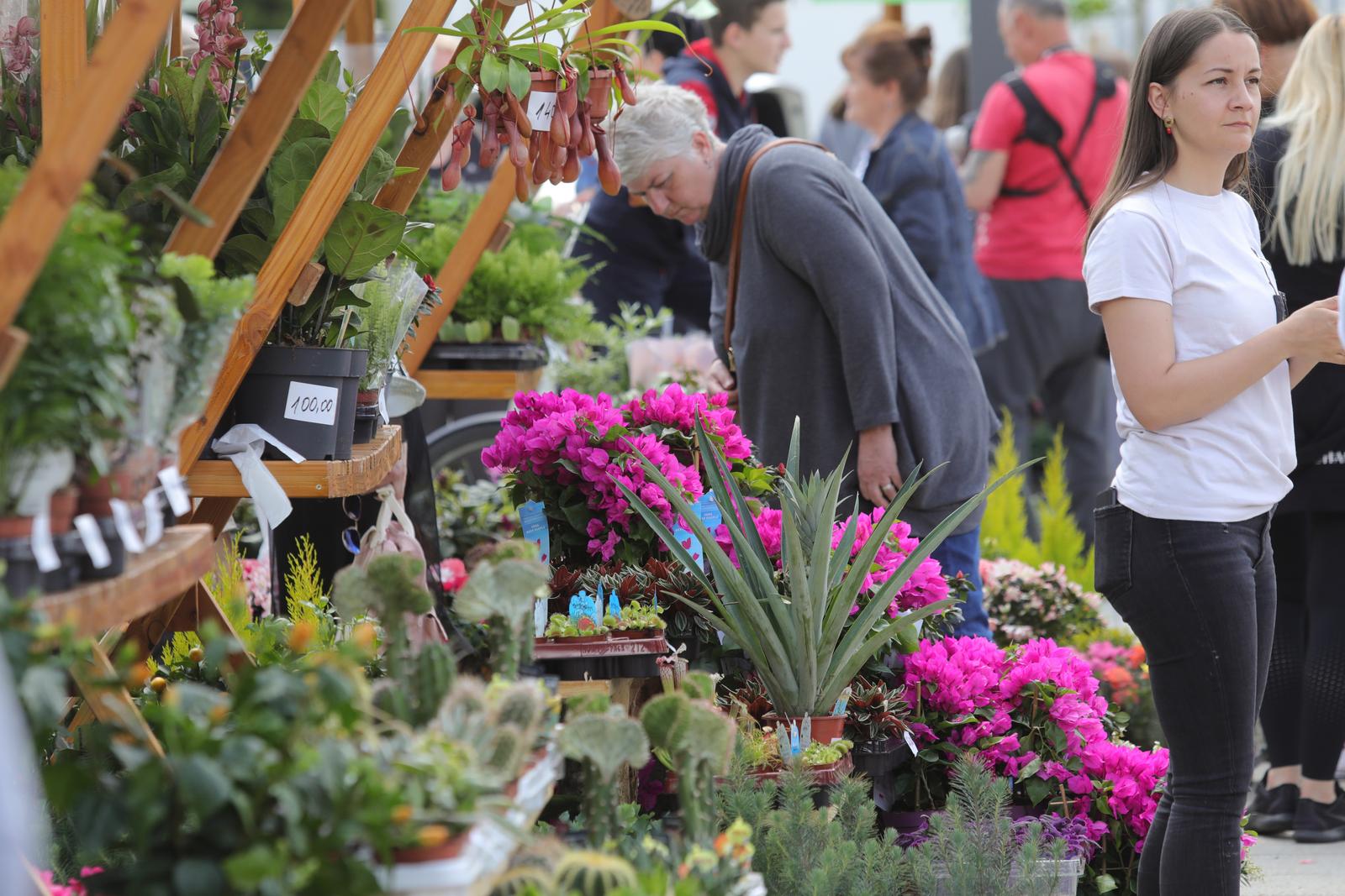 Proljetni sajam u Čepinu Proljetni sajam u Čepinu