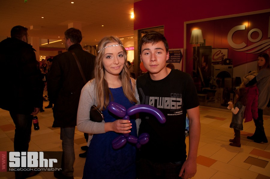 jelenarozga1412_SiBhr_1