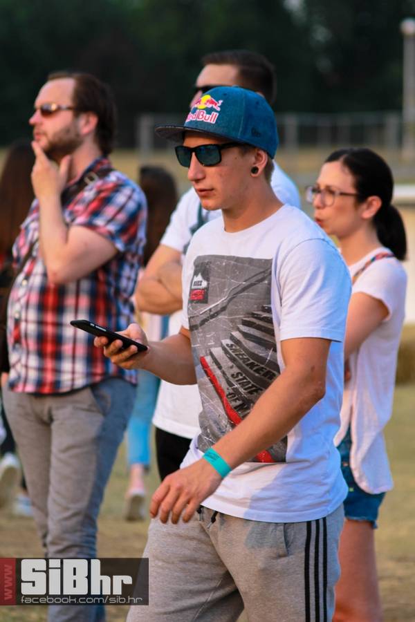 pannonian_inline_sibhr_5
