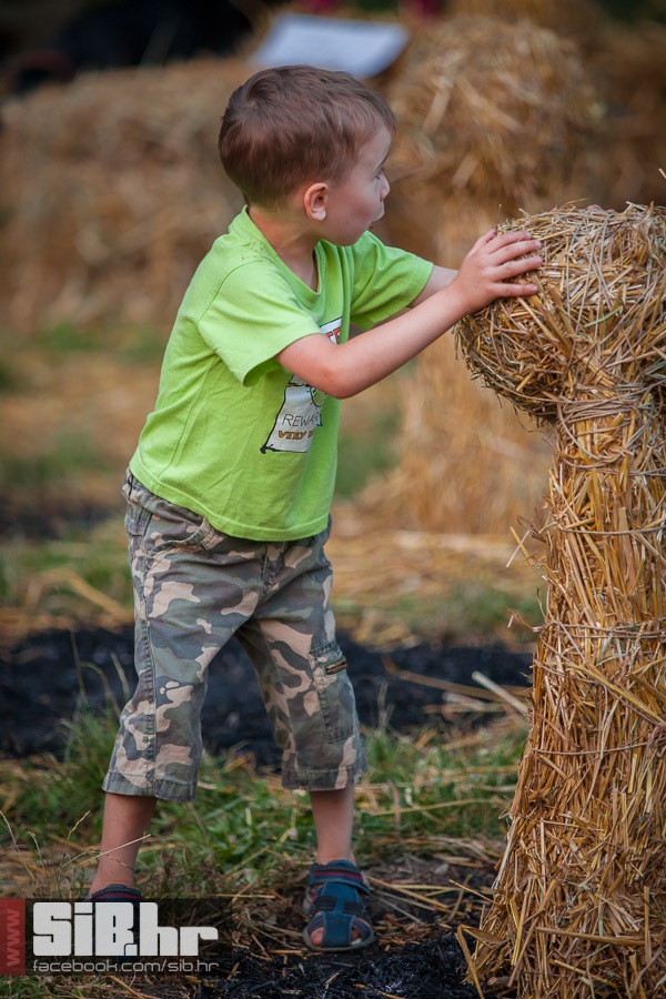 slama_subota_13072013_sibhr_mba