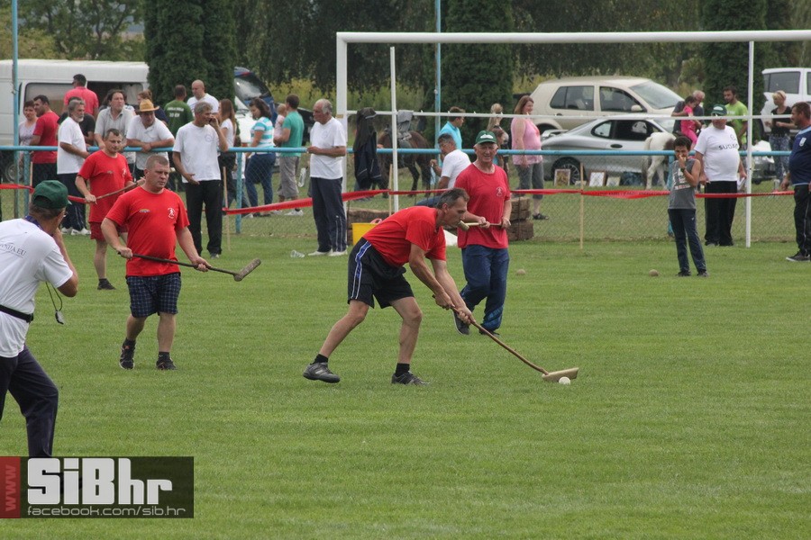 brodjanci_olimpijada_2014_SiBhr