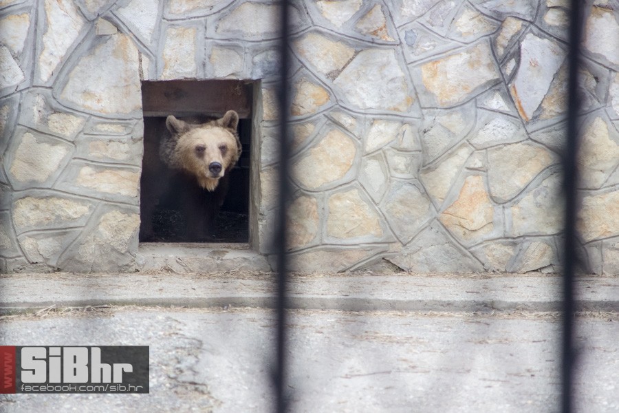 zoo_uskrs_2016_sibhr_110