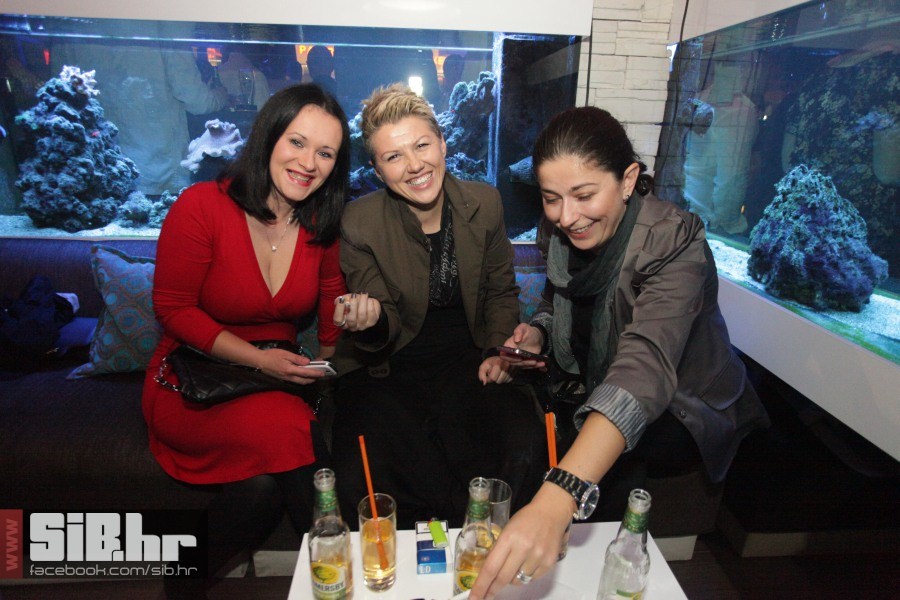 playboy_party_lotus_20102012_si