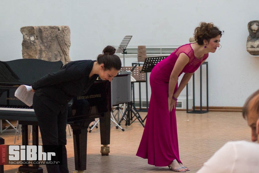 hrenic_2016_sibhr_04