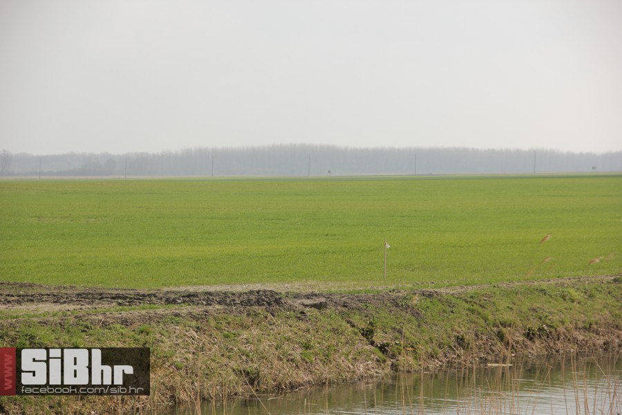 kopacki_rit_ozujak2015_SiBhr_37