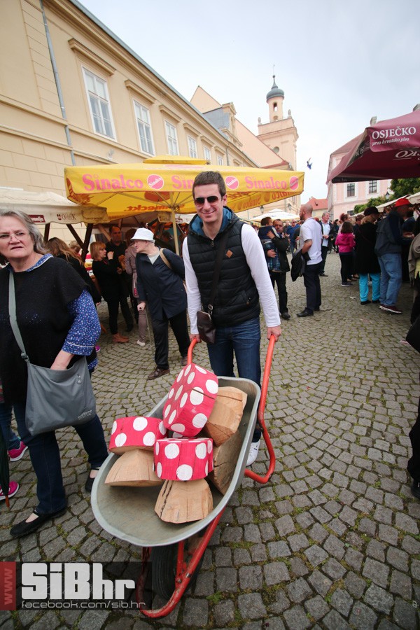 dani_vina_turizma_2016_sibhr_12