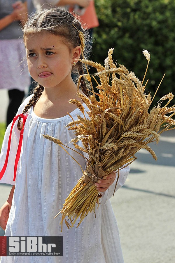 mali_vezovi_2013_SiBhr_13