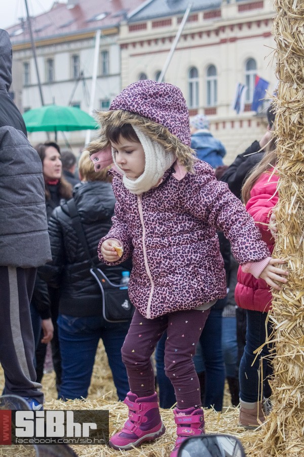 usrks_osijek_2016_SiBhr_96