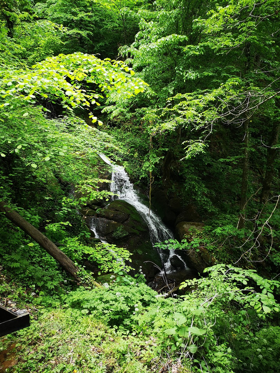 Park prirode Papuk