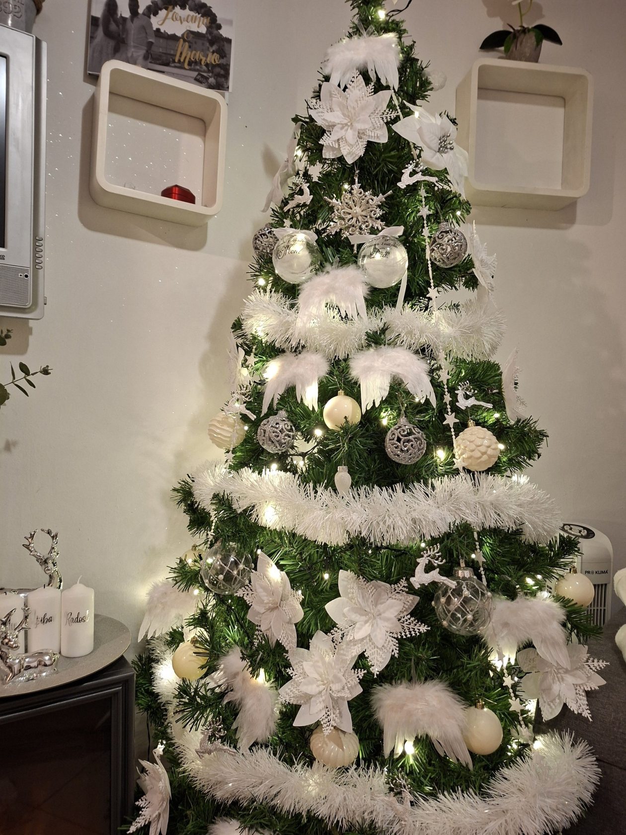 Božićna drvca 2025.