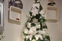 Božićna drvca 2025.