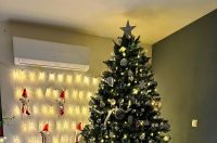 Božićna drvca 2025.