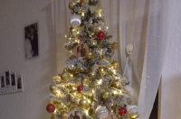 Božićna drvca 2025.