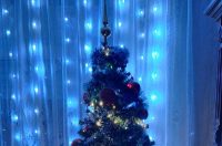 Božićna drvca 2025.