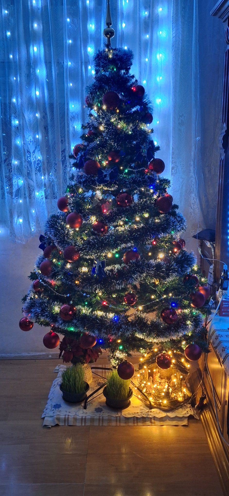 Božićna drvca 2025.